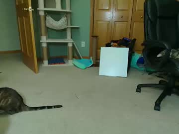 couple
        bxdieelatina cam image #71060