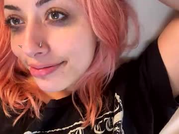 girl
        cinnybunny cam image #79709