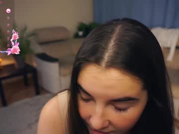 girl
        aftonbunkers cam image #207384